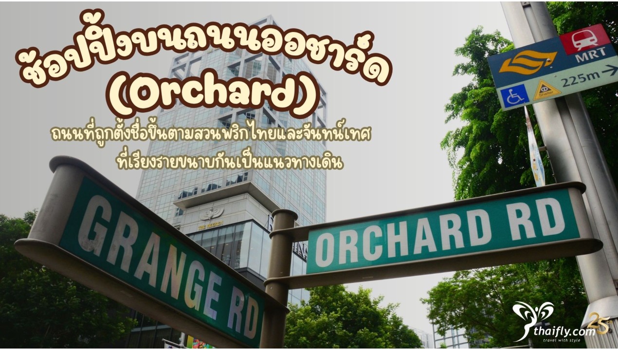 ข้อมูลเที่ยวสิงคโปร์ : ช้อปปิ้งบนถนนออชาร์ด (Orchard)