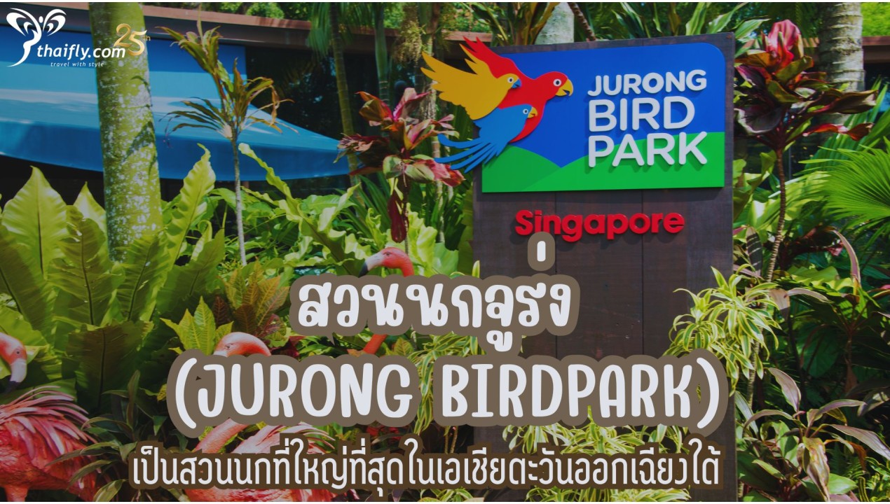 ข้อมูลเที่ยวสิงคโปร์ : สวนนกจูร่ง (Jurong Birdpark)