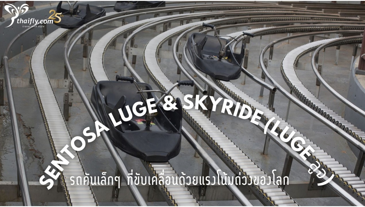 ข้อมูลเที่ยวสิงคโปร์ : Sentosa Luge & Skyride (LUGE ลูจ)