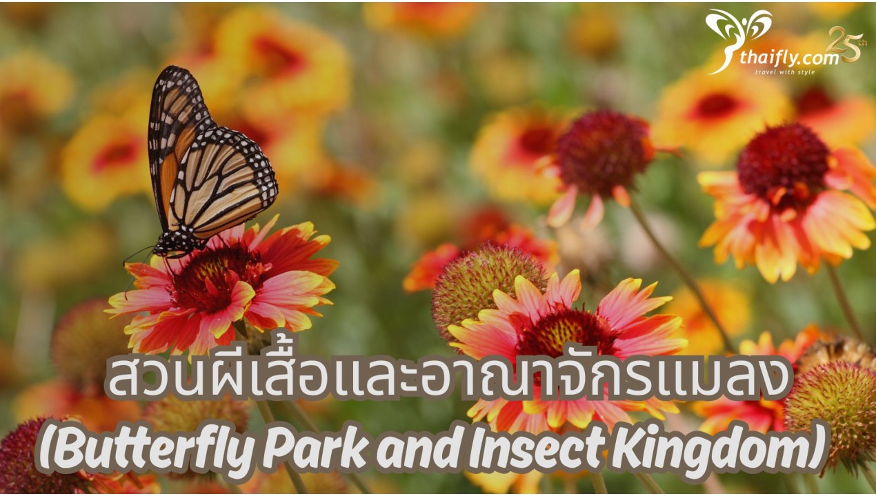 ข้อมูลเที่ยวสิงคโปร์ : สวนผีเสื้อและอาณาจักรแมลง (Butterfly Park and Insect Kingdom)