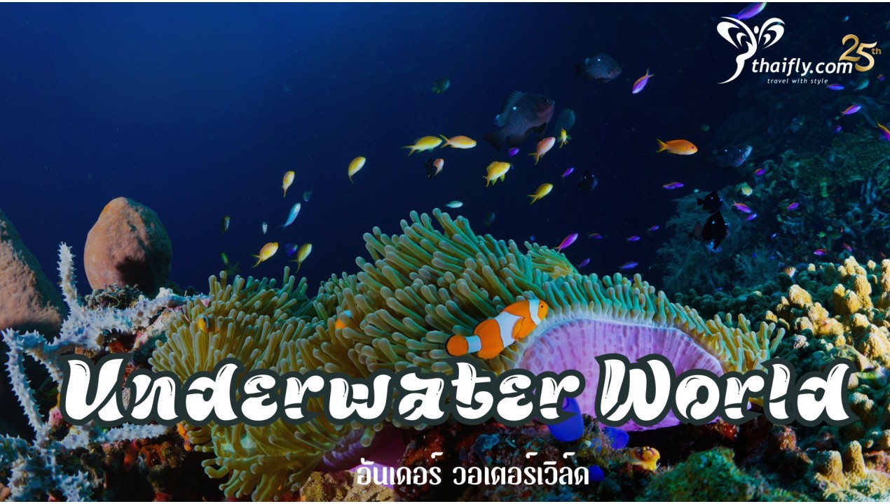ข้อมูลเที่ยวสิงคโปร์ : อันเดอร์ วอเตอร์เวิล์ด (Underwater World)