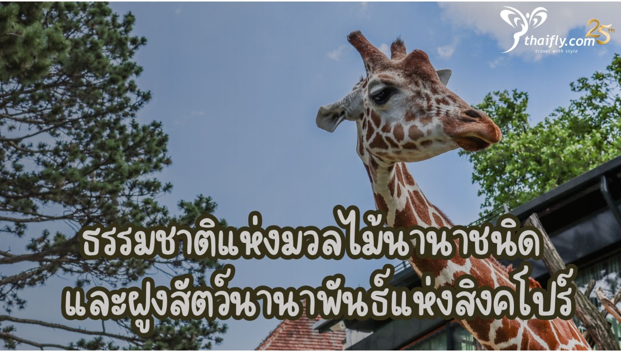 ธรรมชาติแห่งมวลไม้นานาชนิด และฝูงสัตว์นานาพันธ์แห่งสิงคโปร์