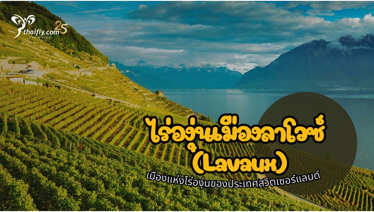 ข้อมูลเที่ยวสวิตเซอร์แลนด์ : ไร่องุ่นเมืองลาโวซ์ (Lavaux)