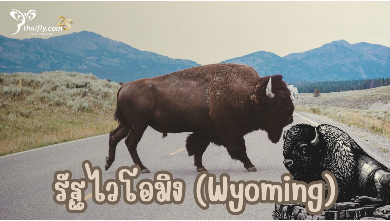 ข้อมูลเที่ยวอเมริกา : รัฐไวโอมิง (Wyoming)
