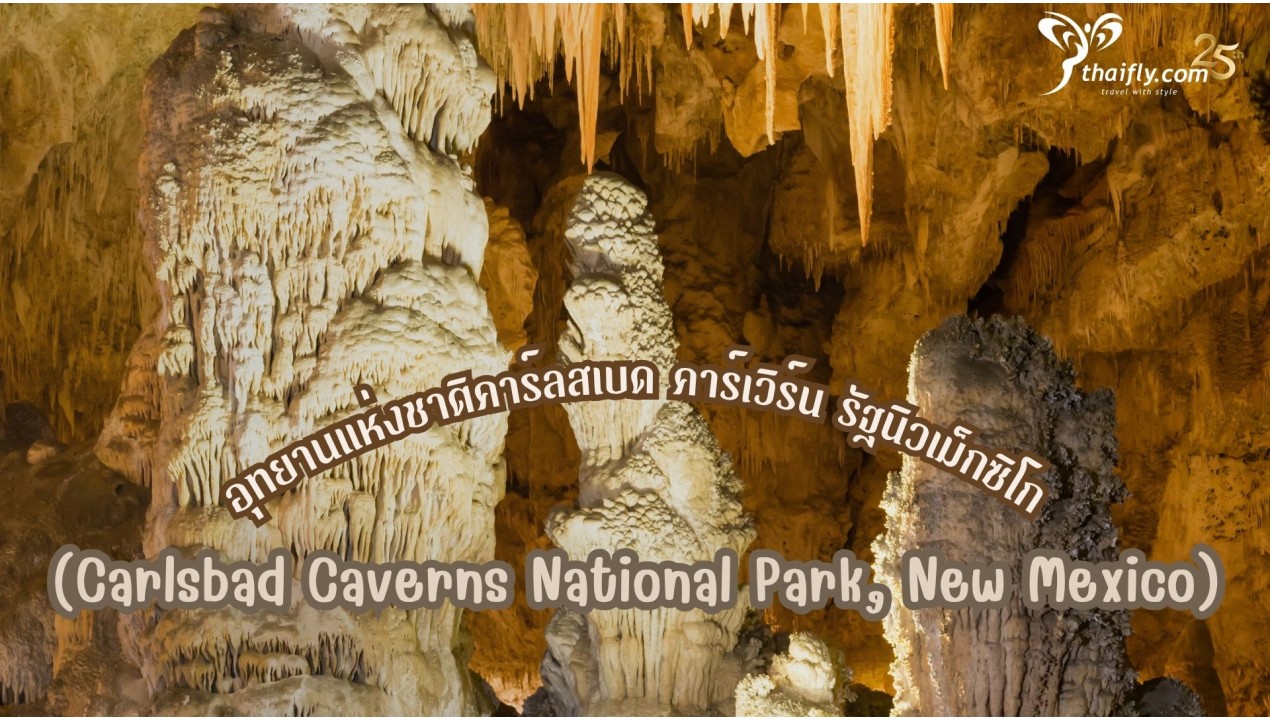 ข้อมูลเที่ยวอเมริกา :อุทยานแห่งชาติคาร์ลสเบด คาร์เวิร์น รัฐนิวเม็กซิโก  (Carlsbad Caverns National Park, New Mexico)