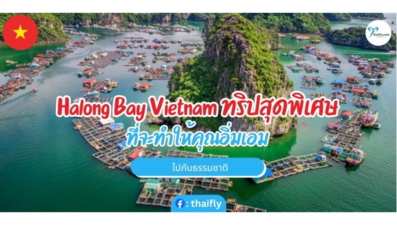 Halong Bay Vietnam ทริปสุดพิเศษที่จะทำให้คุณอิ่มเอมไปกับธรรมชาติ