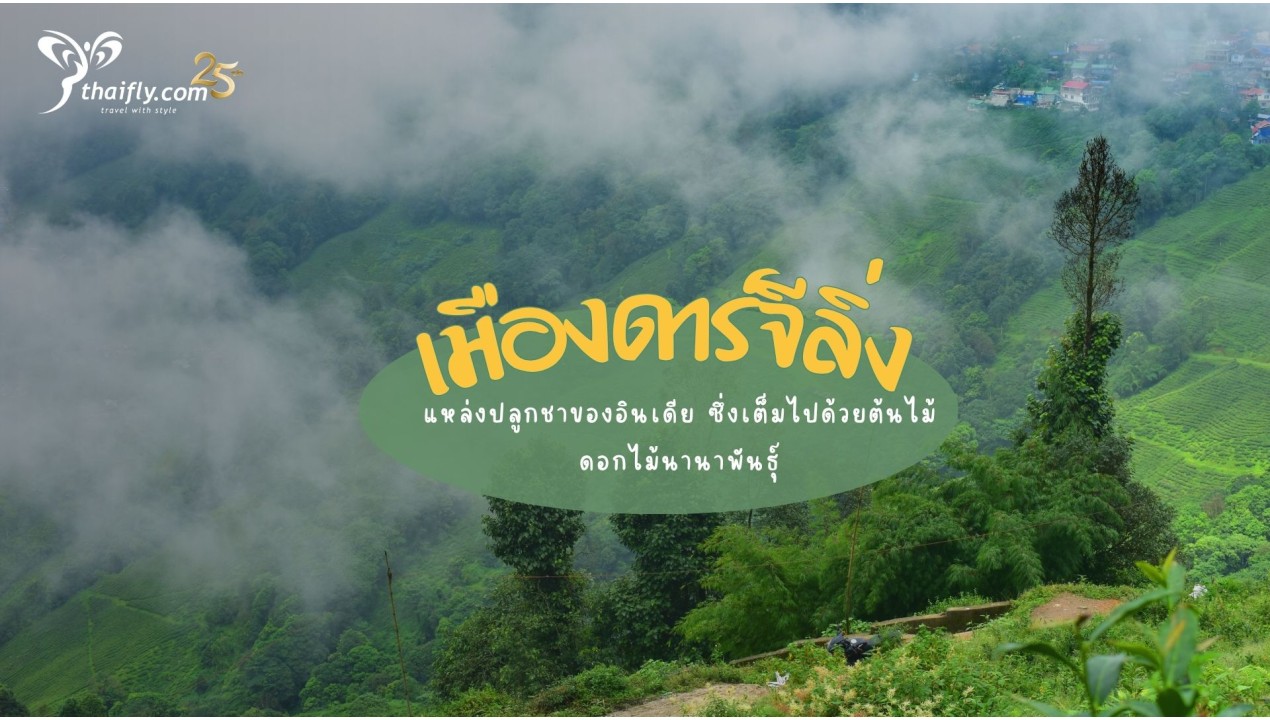ข้อมูลเที่ยวอินเดีย : เมืองดาร์จีลิ่ง DARJEELING