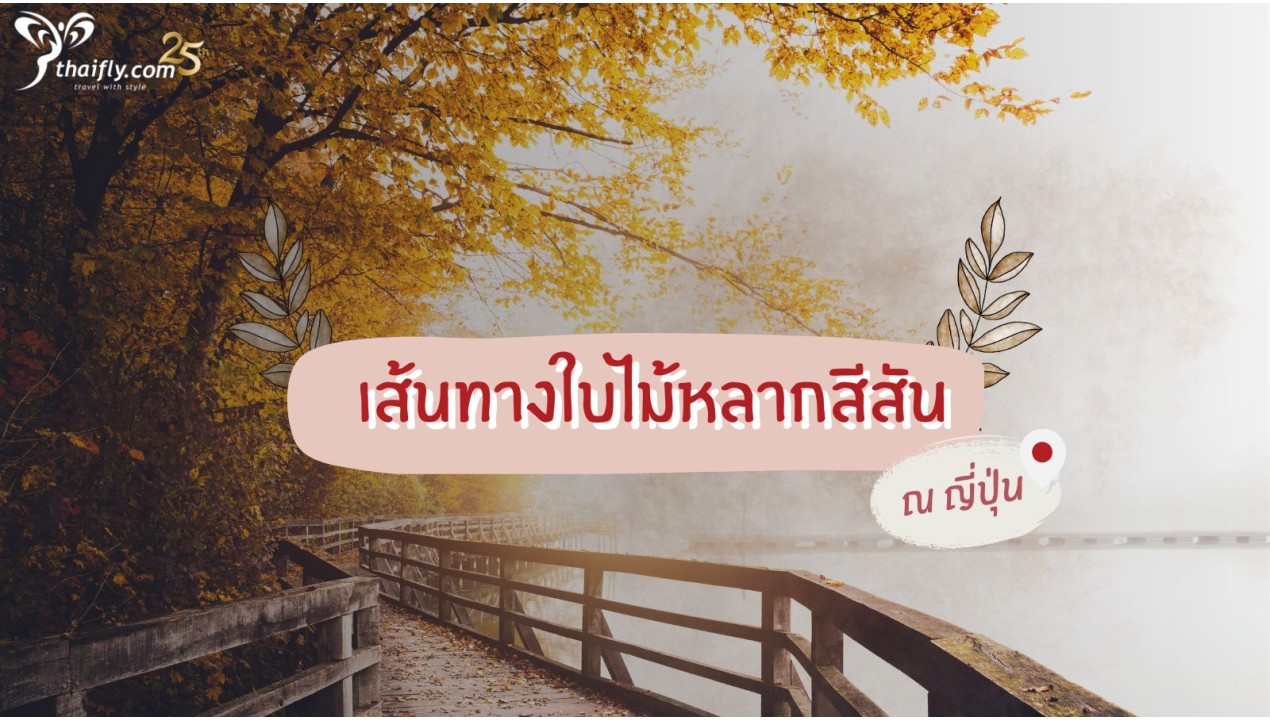 เส้นทางใบไม้หลากสีสัน ณ ดินแดนญี่ปุ่น