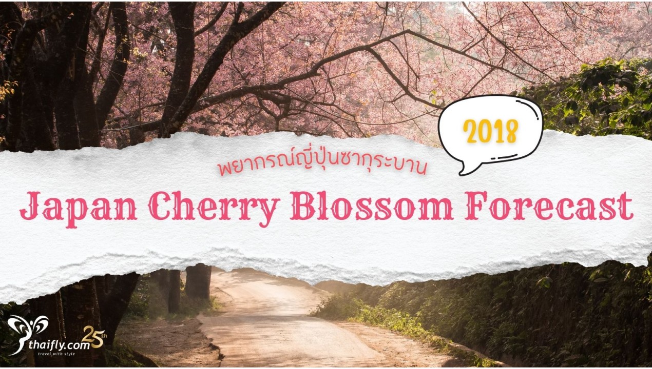 พยากรณ์ญี่ปุ่นซากุระบาน ประจำปี 2561 [ 2018 Japan Cherry Blossom Forecast ]
