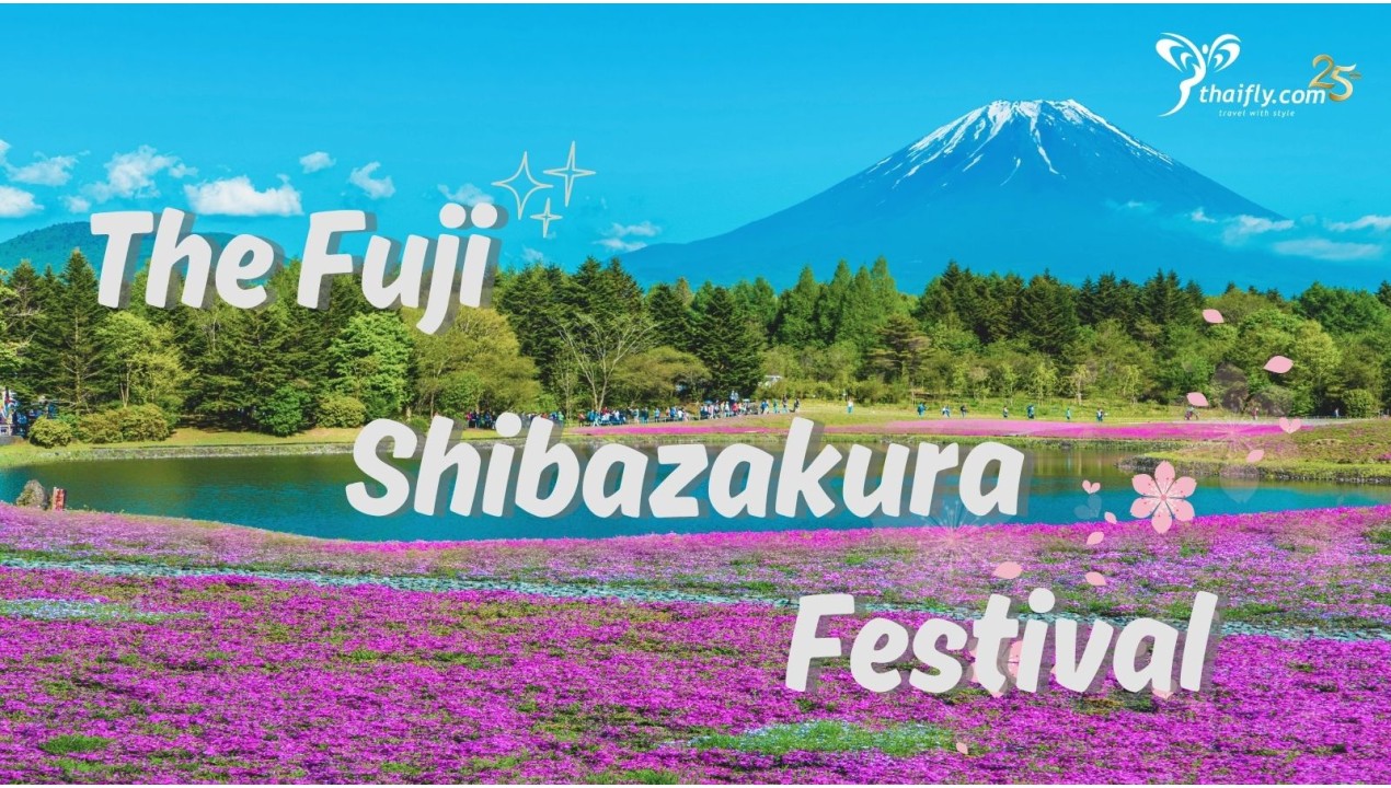 ข้อมูลเที่ยวญี่ปุ่น : The Fuji Shibazakura Festival