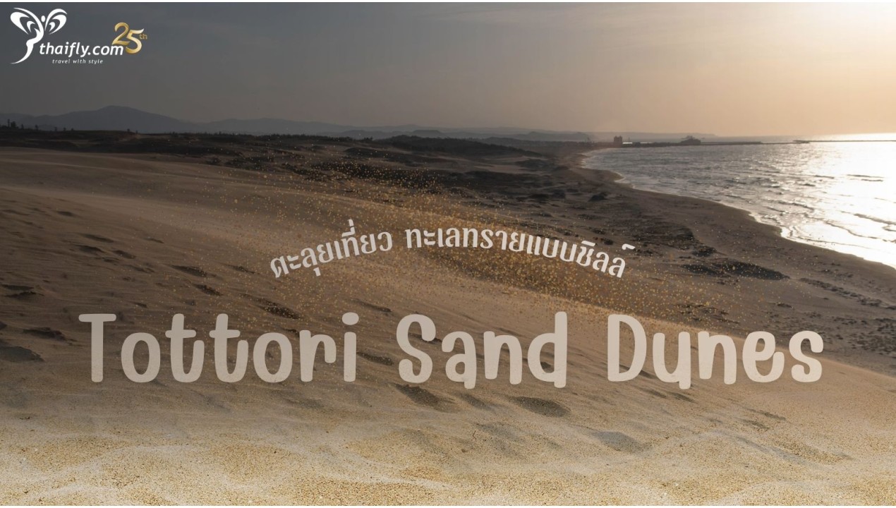 ข้อมูลเที่ยวญี่ปุ่น : เที่ยวเนินทราย (Tottori Sand Dunes)