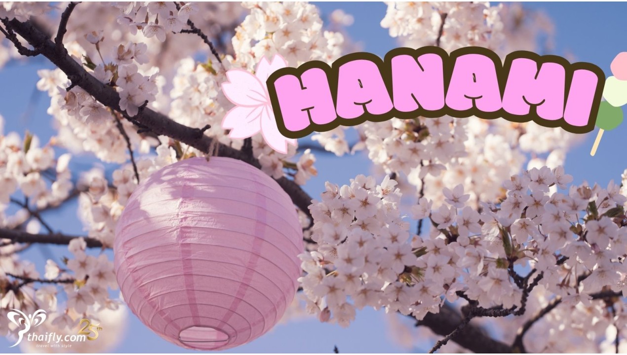 ข้อมูลเที่ยวญี่ปุ่น : เทศกาลชมดอกชากุระเมืองฮานามิ (Hanami)