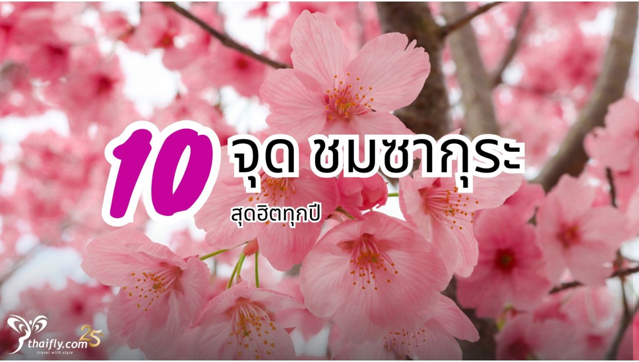 ข้อมูลเที่ยวญี่ปุ่น : 10 จุดชมซากุระ สุดฮิตทุกปี