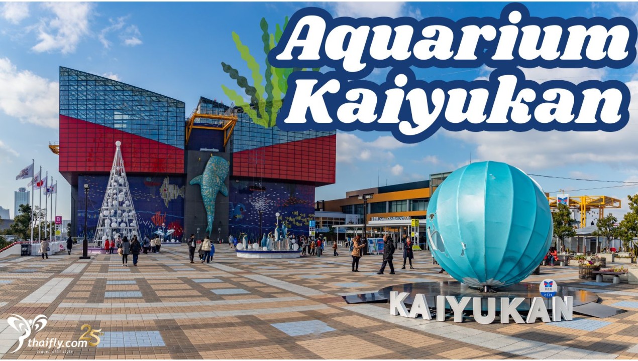 ข้อมูลเที่ยวญี่ปุ่น : พิพิธภัณฑ์สัตว์น้ำไคยูคัง (Aquarium Kaiyukan)