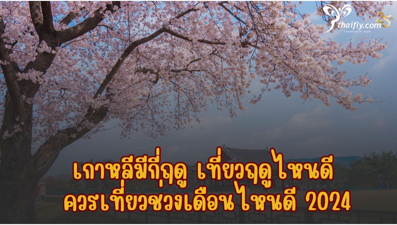 เกาหลีมีกี่ฤดู เที่ยวฤดูไหนดี ควรเที่ยวช่วงเดือนไหนดี 2024