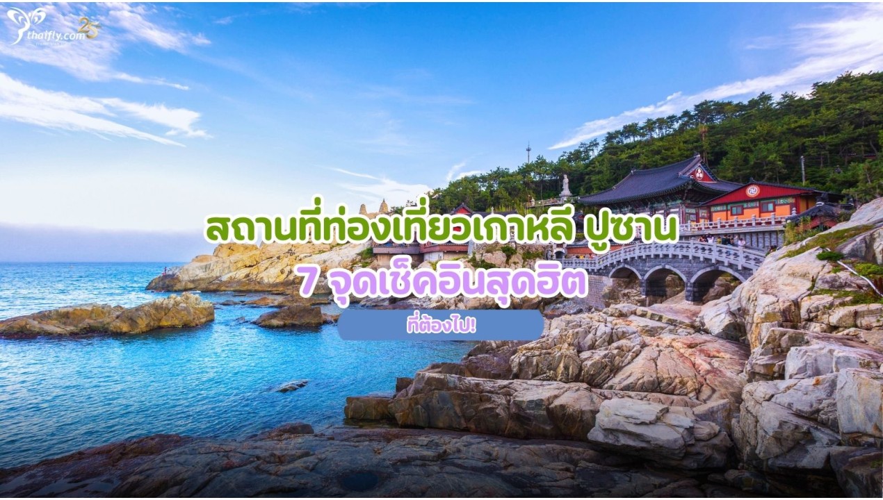สถานที่ท่องเที่ยวเกาหลี ปูซาน 7 จุดเช็คอินสุดฮิตที่ต้องไป!