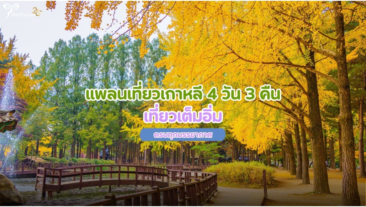 แพลนเที่ยวเกาหลี 4 วัน 3 คืน เที่ยวเต็มอิ่ม ครบทุกบรรยากาศ