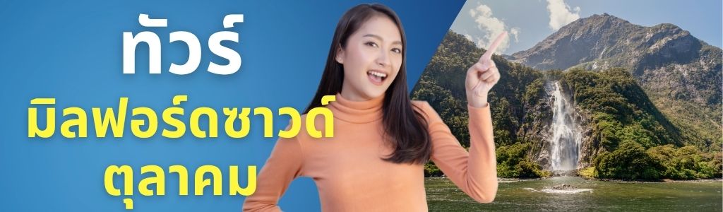 tour-category