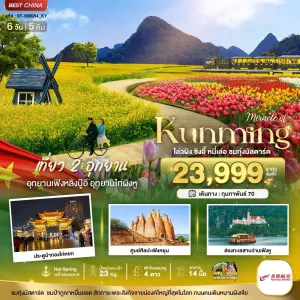 ทัวร์จีน คุนหมิง ชมทุ่งมัสตาร์ด ทุ่งดอกทิวลิป 6วัน 5คืน บิน KY