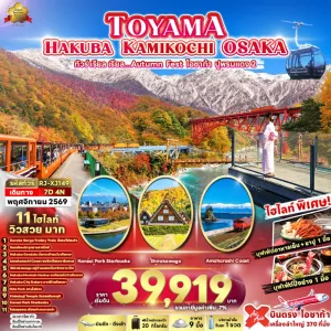 ทัวร์ญี่ปุ่น โอซาก้า เกียวโต (เรียล Autumn Fest โอซาก้า ปูพรมแดง 2) 7วัน 4คืน บิน XJ