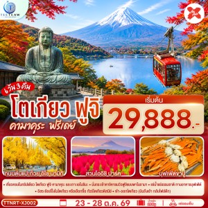 ทัวร์ญี่ปุ่น โตเกียว ฟูจิ คามาคุระ ถนนต้นแปะก๊วย สวนโออิชิปาร์ค Free Day 6วัน 3คืน บิน XJ