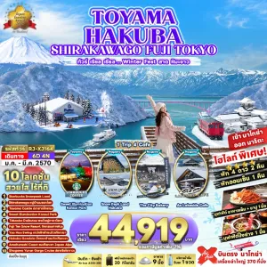 ทัวร์ญี่ปุ่น นาโกย่า โตเกียว (เรียล Winter Fest สาดหิมะขาว) 6วัน 4คืน บิน XJ
