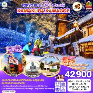 ทัวร์ญี่ปุ่น โตเกียว คาวากุจิโกะ คามาคุระ เทศกาลประดับไฟซากามิโกะ 6วัน 3คืน บิน TG