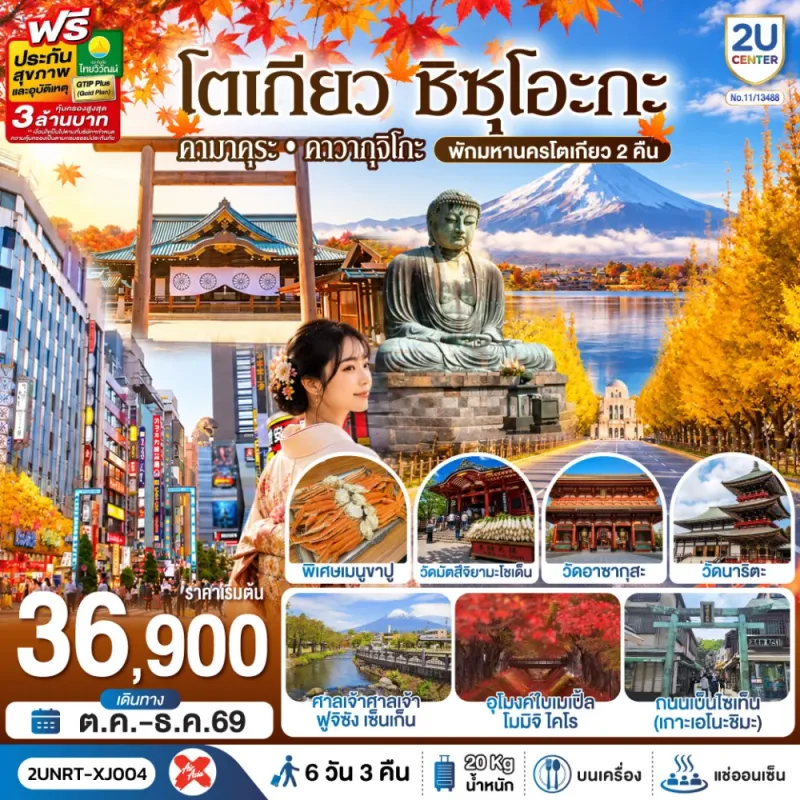 ทัวร์ญี่ปุ่น โตเกียว ชิซุโอะกะ คามาคุระ คาวากุจิโกะ อุโมงค์ใบเมเปิ้ล วัดนาริตะ ถนนต้นแปะก๊วย 6วัน 3คืน บิน XJ
