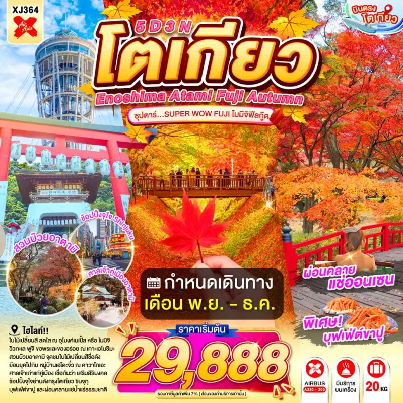 ทัวร์ญี่ปุ่น โตเกียว ใบไม้เปลี่ยนสี (ซุปตาร์ SUPER WOW FUJI โมมิจิฟีลกู๊ด) 5วัน 3คืน บิน XJ
