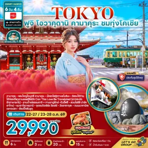 ทัวร์ญี่ปุ่น โตเกียว ฟูจิ โอวาคุดานิ คามาคุระ ชมทุ่งโคเชีย 6วัน 4คืน บิน VZ