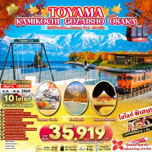 ทัวร์ญี่ปุ่น โอซาก้า คามิโคจิ (เรียล Autumn Fest สวยสะบัด) 6วัน 4คืน บิน XJ