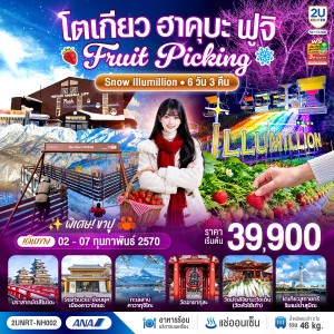 ทัวร์ญี่ปุ่น โตเกียว ฮาคุบะ ฟูจิ ปราสาทมัตสึโมโตะ คาวากุจิโกะ งานประดับไฟ Sagamiko Illumillion 6วัน 3คืน บิน NH