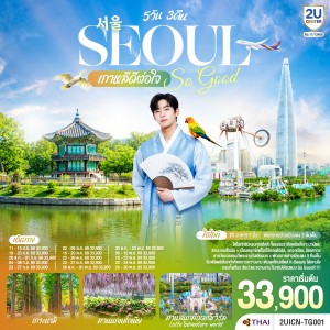 ทัวร์เกาหลี โซล เกาะนามิ สวนนกเบโกเนีย สวนสนุกล็อตเต้เวิร์ล 5วัน 3คืน บิน TG