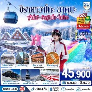 ทัวร์ญี่ปุ่น โตเกียว ฟูจิ ลานสกี ชิราคาวาโกะ งานประดับไฟซากามิโกะ 7วัน 4คืน บิน XJ