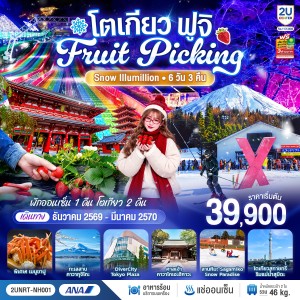 ทัวร์ญี่ปุ่น โตเกียว ฟูจิ ลานหิมะ งานประดับไฟ Sagamiko Illumillion ทะเลสาบคาวากุจิโกะ Free Day 6วัน 3คืน บิน NH