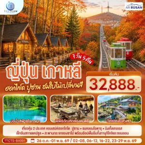 ทัวร์ญี่ปุ่น เกาหลี ฮอกไกโด ปูซาน ชมใบไม้เปลี่ยนสี 7วัน 5คืน บิน BX