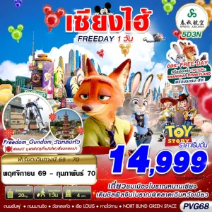 ทัวร์จีน เซี่ยงไฮ้ ถนนนานกิง วัดหลงหัว 5วัน 3คืน บิน 9C