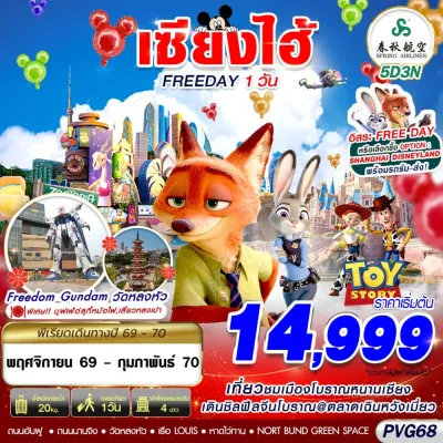 จีน เซี่ยงไฮ้ ถนนนานกิง วัดหลงหัว 5วัน 3คืน บิน 9C