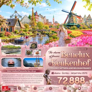 ทัวร์ยุโรป เยอรมัน เนเธอร์แลนด์ เบลเยี่ยม ฝรั่งเศส สวนเคอเคนฮอฟ ล่องเรือชมหมู่บ้านกีธูร์น 8วัน 5คืน บิน EK