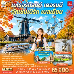 ทัวร์ยุโรป เนเธอร์แลนด์ เยอรมัน ลักเซมเบิร์ก เบลเยี่ยม 8วัน 5คืน บิน EK