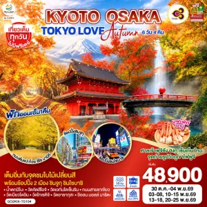 ทัวร์ญี่ปุ่น โอซาก้า โตเกียว วัดดารุมะ ใบไม้เปลี่ยนสี 6วัน 4คืน บิน TG