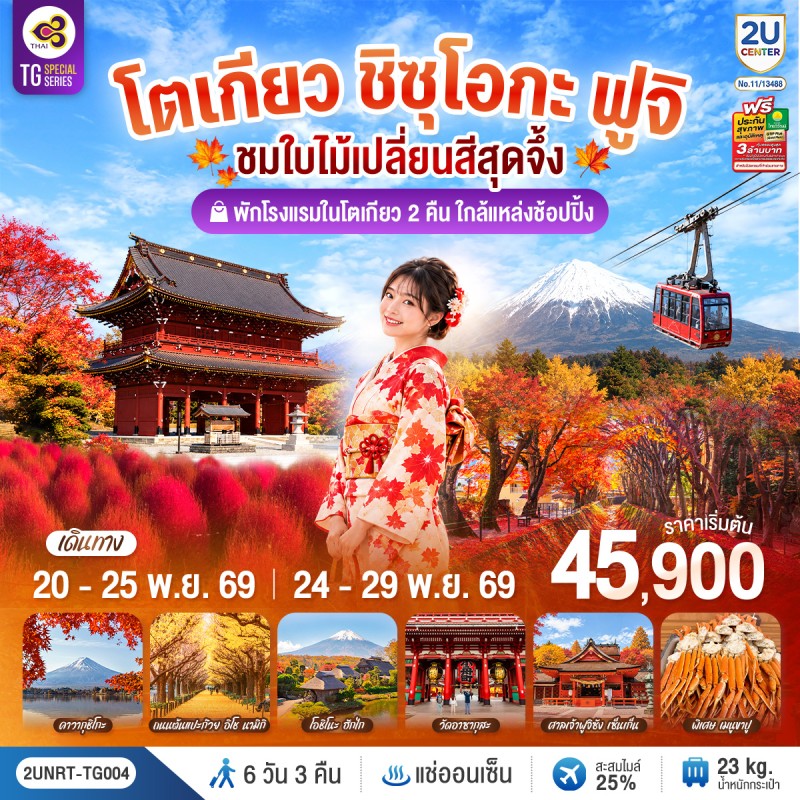 ทัวร์ญี่ปุ่น โตเกียว ชิซุโอกะ ฟูจิ อุโมงค์ใบเมเปิ้ล ถนนต้นแปะก๊วย หมู่บ้านน้ำใสโอชิโนะฮักไค Free Day 6วัน 3คืน บิน TG