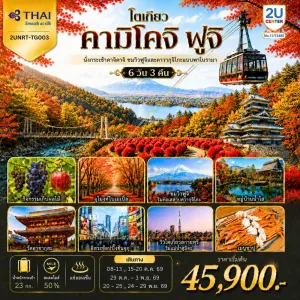 ทัวร์ญี่ปุ่น โตเกียว คามิโคจิ ฟูจิ ใบไม้เปลี่ยนสี นั่งกระเช้าคาจิคาจิ อุโมงค์ใบเมเปิ้ล 6วัน 3คืน บิน TG