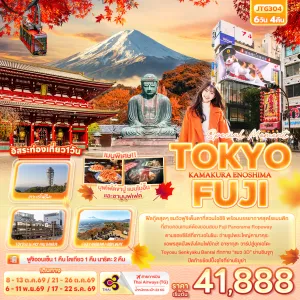 ทัวร์ญี่ปุ่น โตเกียว ฟูจิ พระใหญ่คามาคุระ เกาะเอโนชิมะ ชมใบไม้เปลี่ยนสี Free Day 6วัน 4คืน บิน TG