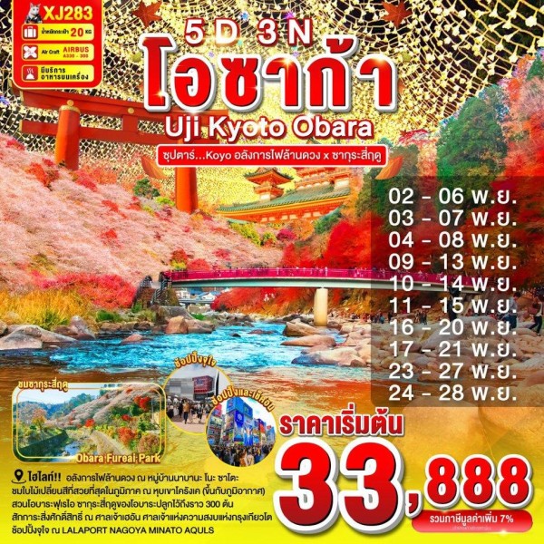 ทัวร์ญี่ปุ่น โอซาก้า เกียวโต นาโกย่า (ซุปตาร์ Kōyō อลังการไฟล้านดวง x ซากุระสี่ฤดู) 5วัน 3คืน บิน XJ