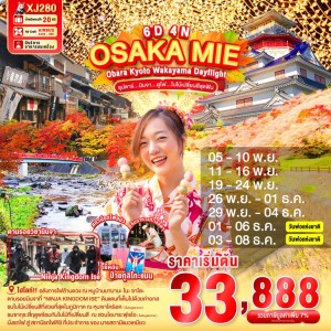 ทัวร์ญี่ปุ่น โอซาก้า นาโกย่า เกียวโต (ซุปตาร์ นินจา ดูไฟ ใบไม้เปลี่ยนสี) 6วัน 4คืน บิน XJ