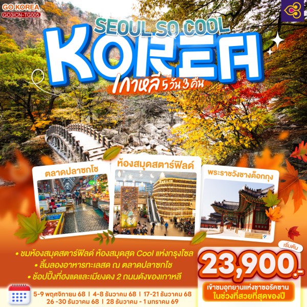 ทัวร์เกาหลี โซล อินชอน อุทยานแห่งชาติซอรัคซาน 5วัน 3คืน บิน TG