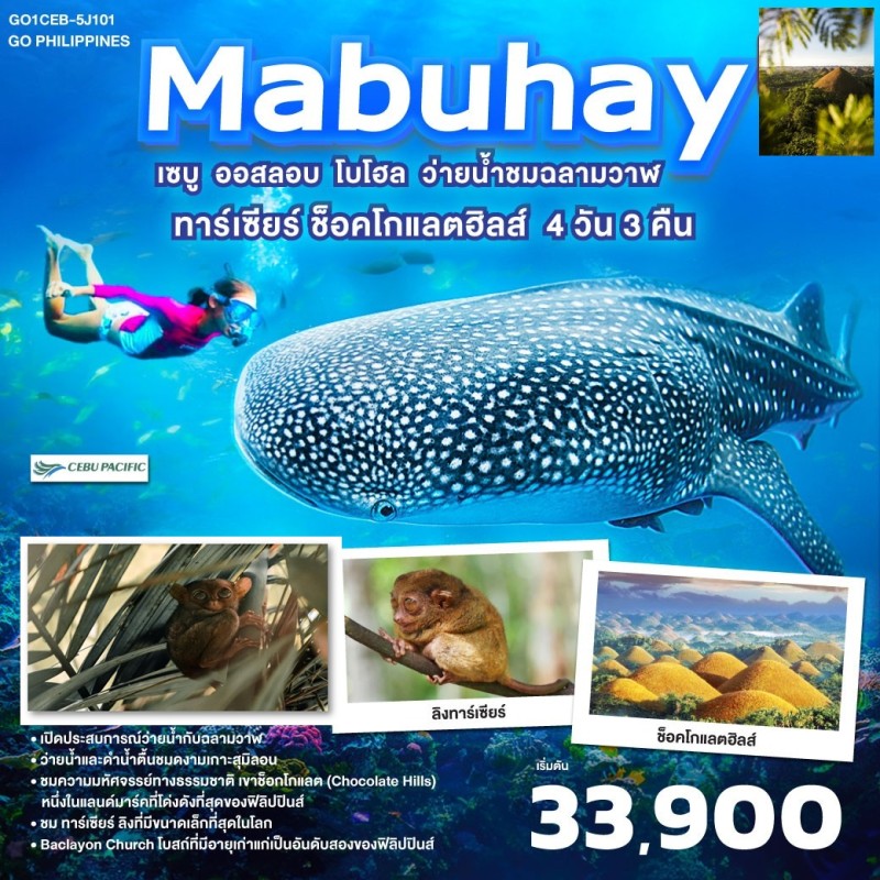 ทัวร์ฟิลิปปินส์ เซบู ออสลอบ โบโฮล ว่ายน้ำกับฉลามวาฬ 4วัน 3คืน บิน 5J