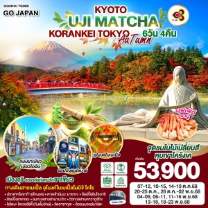 ทัวร์ญี่ปุ่น โตเกียว โอซาก้า นาโกย่า หุบเขาโครังเค อุโมงค์ใบเมเปิ้ลโมมิจิ ไคโร 6วัน 4คืน บิน TG