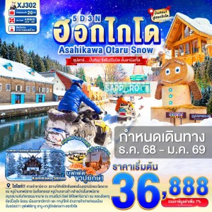 ทัวร์ญี่ปุ่น ฮอกไกโด ซัปโปโร โอตารุ (ซุปตาร์ ปั้นหิมะ ขี่สโนว์โมบิล ลั้นลานิงเกิ้ล) 5วัน 3คืน บิน XJ